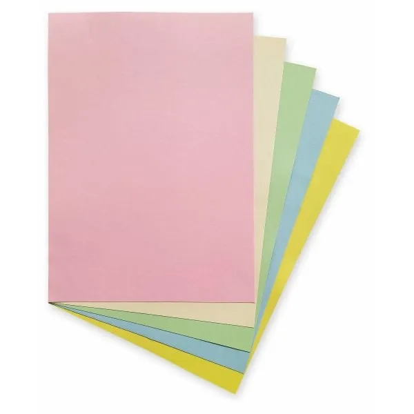 Anupam Pastel Colours Loose Sheets A4, 160 GSM