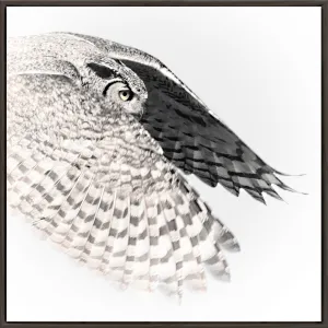 Wall Art - Snowy Owl